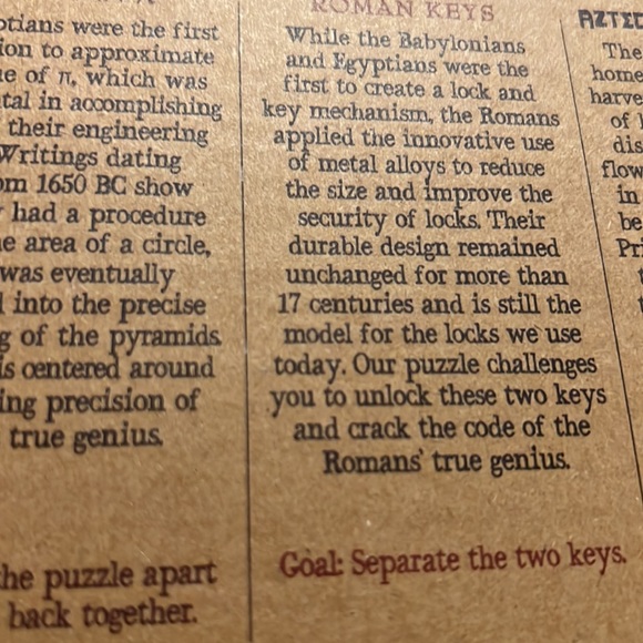 True Genius Brainteaser wood and Metal Puzzles - Picture 13 of 16